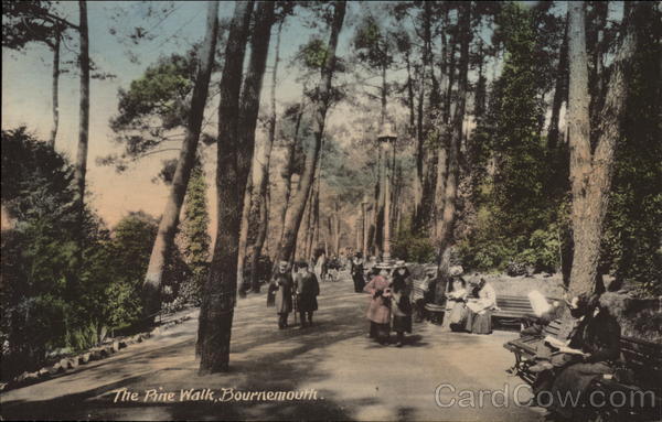 The Pine Walk Bournemouth England Dorset