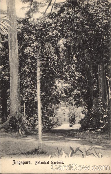 Botanical Gardens Singapore Southeast Asia