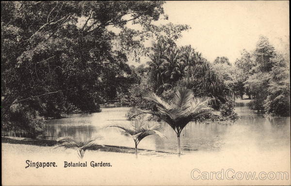 Botanical Gardens Singapore Southeast Asia