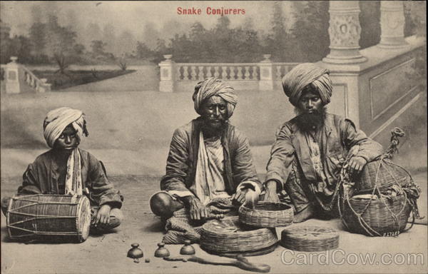 Snake Conjurors India
