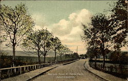 Western Road & Public Park Postcard