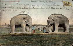 Chinese Mandarin Tombs Postcard