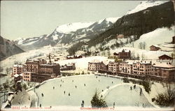 View of Town and Ice Rink Grindelwald, Switzerland Postcard Postcard