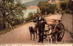 The Milk Cart, with Dogs and Delivery Man Zurich, Switzerland Postcard Postcard