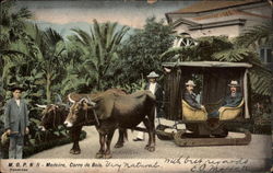 Wooden Ox-Drawn Cart Postcard