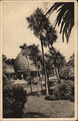 Resources Section of the Colonial Portuguese World Exhibition Postcard