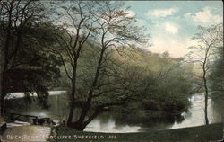 Duck Pond, Endcliffe Sheffield, United Kingdom Yorkshire Postcard Postcard