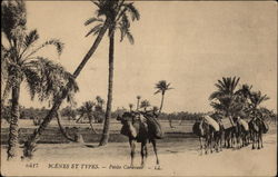 Caravan of Camels in Desert Postcard