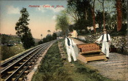 Portuguese Countryside Postcard