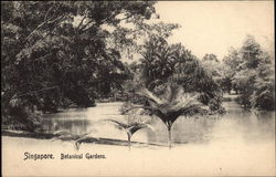 Botanical Gardens Postcard