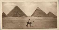 General View of the Four Pyramids Postcard