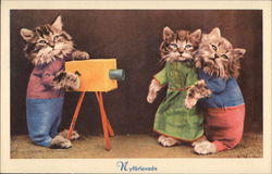 Kittens with a camera Postcard