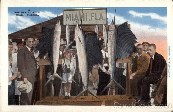 One day's catch Miami Florida G. W. Roemer