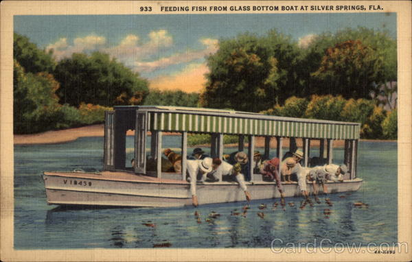Feeding fish from Glass Bottom Boat Silver Springs Florida