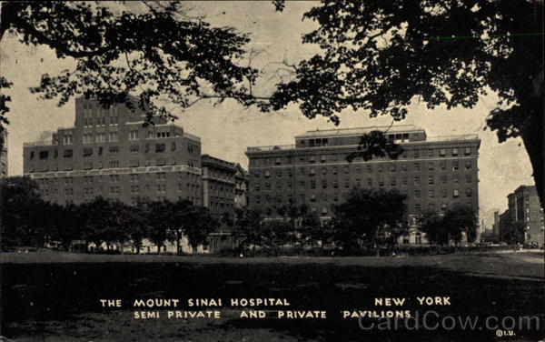 The Mount Sinai Hospital, semi-private and private pavilions New York