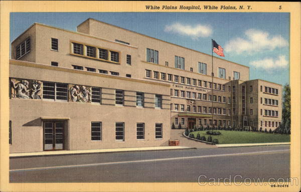 White Plains Hospital New York
