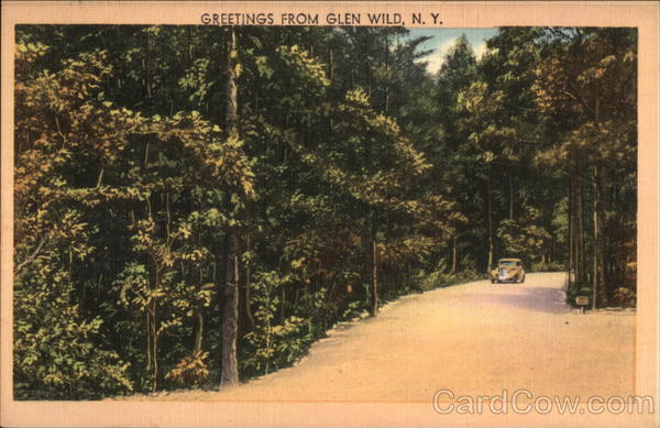 Greetings from Glen Wild New York