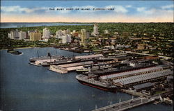 The Busy Port of Miami, Florida Postcard