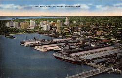 The Busy Port of Miami, Florida Postcard Postcard