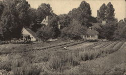 Weathered Oak Herb Farm, Inc., Bradley Hills Postcard