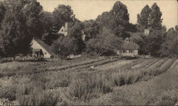 Weathered Oak Herb Farm, Inc., Bradley Hills Bethesda, MD Postcard Postcard