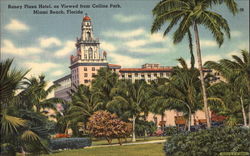 Roney Plaza Hotel, as Viewed from Collins Park Miami Beach, FL Postcard Postcard