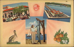 Various View of Town Postcard