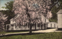 The Lodge in Apple Blossom Time Postcard