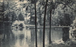 The Glenwood - View of Glenwood Lake Millrift, PA Postcard Postcard