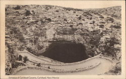 Entrance of Carlsbad Caverns Postcard