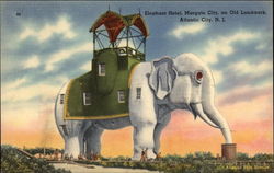 Elephant Motel Postcard