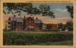 Cambridge Maryland Hospital and Nurses' Home Postcard Postcard