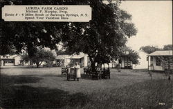 Lurita Farm Cabins Postcard