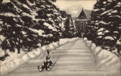 Winter Scene at Valeria Oscawana, NY Postcard Postcard