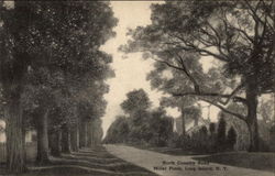 North Country Road Postcard