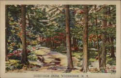 Greetings from Woodridge, N.Y New York Postcard Postcard