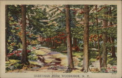 Greetings from Woodridge, N.Y Postcard