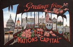 Greetings from the Nation's Capitol Postcard