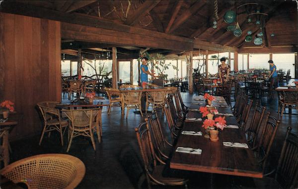 Pats at Punaluu Honolulu Hawaii