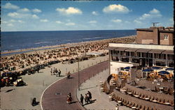 Beachfront Postcard