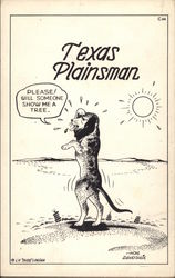 Texas Plainsman Postcard
