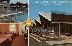 Park University Motel Postcard