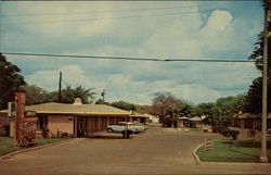 Flamingo Motel Brownsville, TX Postcard Postcard