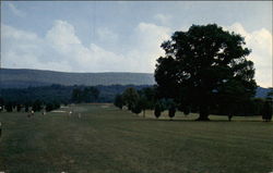 Capon Springs and Farms Postcard