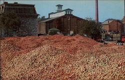 A Million Bushels of Apples Postcard