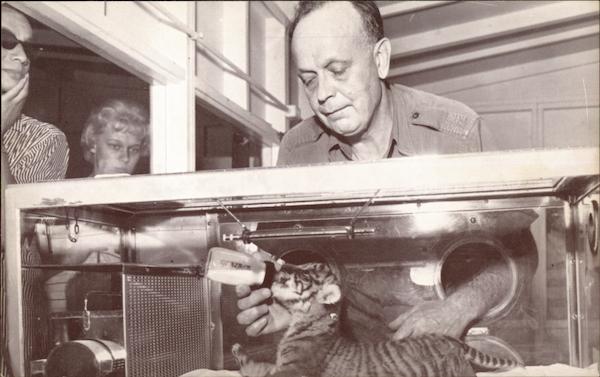 Lincoln Park Zoo Chicago Illinois