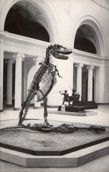 Natural History Museum Chicago Illinois