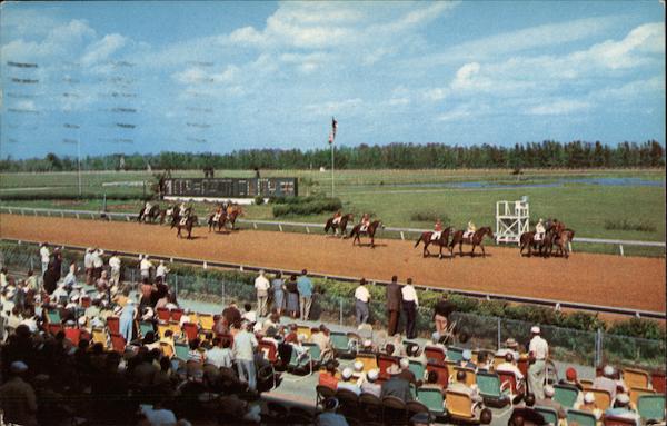 Sunshine Park Race Track Oldsmar Florida