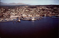 View from the Sea of Powell River Postcard