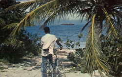Shipwreck on the Reef Postcard